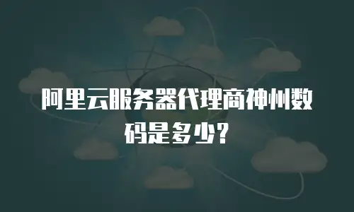 阿里云服务器代理商神州数码是多少？