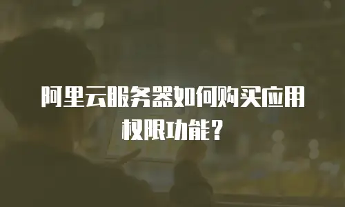 阿里云服务器如何购买应用权限功能？