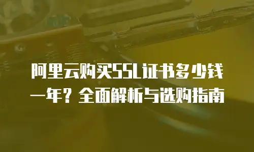 阿里云购买SSL证书多少钱一年？全面解析与选购指南