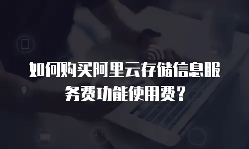 如何购买阿里云存储信息服务费功能使用费？