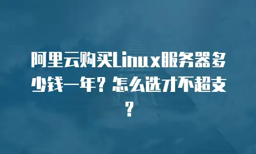 阿里云购买Linux服务器多少钱一年？怎么选才不超支？
