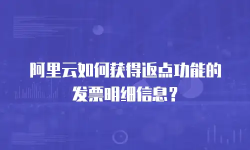 阿里云如何获得返点功能的发票明细信息？