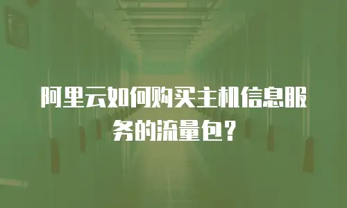 阿里云如何购买主机信息服务的流量包？