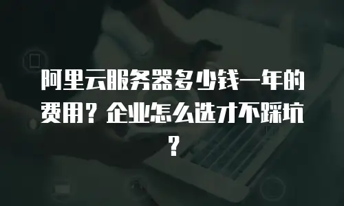 阿里云服务器多少钱一年的费用？企业怎么选才不踩坑？