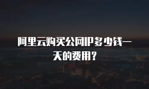 阿里云购买公网IP多少钱一天的费用？