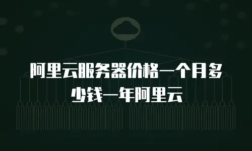 阿里云服务器价格一个月多少钱一年阿里云