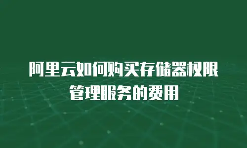 阿里云如何购买存储器权限管理服务的费用