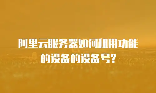 阿里云服务器如何租用功能的设备的设备号？