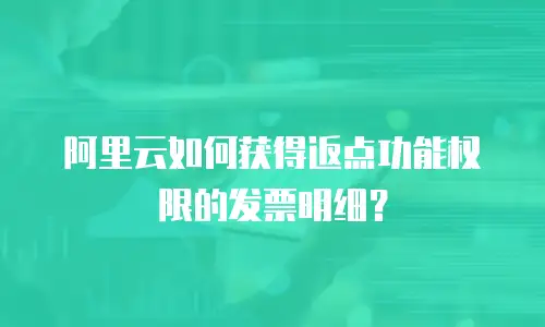 阿里云如何获得返点功能权限的发票明细？
