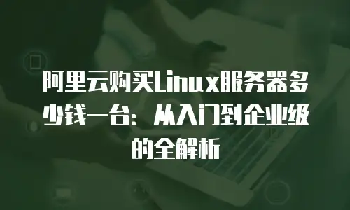 阿里云购买Linux服务器多少钱一台：从入门到企业级的全解析