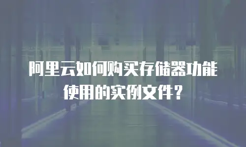阿里云如何购买存储器功能使用的实例文件？