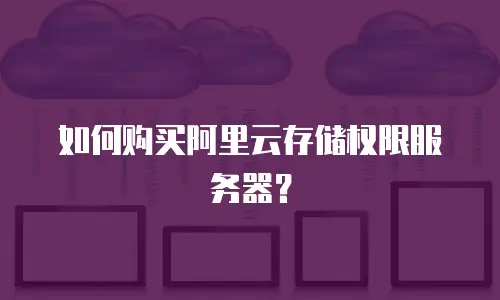 如何购买阿里云存储权限服务器？