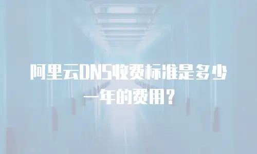 阿里云DNS收费标准是多少一年的费用？
