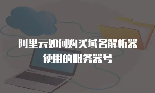 阿里云如何购买域名解析器使用的服务器号