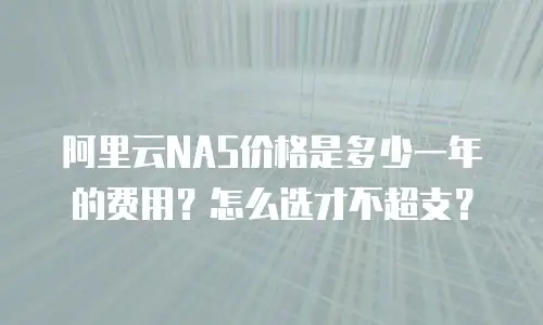 阿里云NAS价格是多少一年的费用？怎么选才不超支？