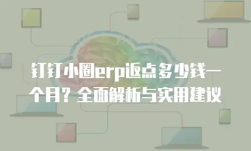 钉钉小圈erp返点多少钱一个月？全面解析与实用建议