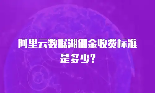 阿里云数据湖佣金收费标准是多少？