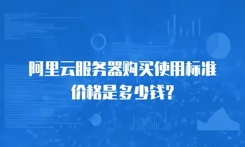 阿里云服务器购买使用标准价格是多少钱？
