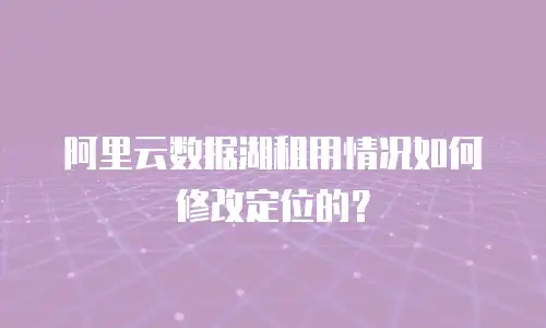 阿里云数据湖租用情况如何修改定位的？
