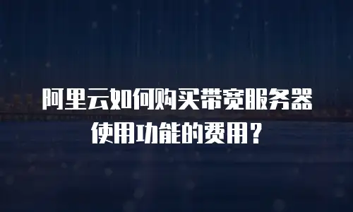 阿里云如何购买带宽服务器使用功能的费用？