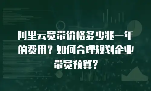 阿里云宽带价格多少兆一年的费用？如何合理规划企业带宽预算？