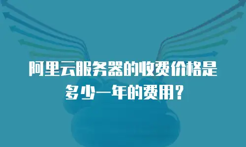 阿里云服务器的收费价格是多少一年的费用？