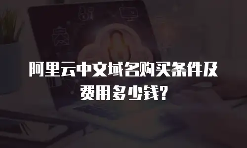 阿里云中文域名购买条件及费用多少钱？