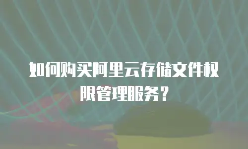 如何购买阿里云存储文件权限管理服务？