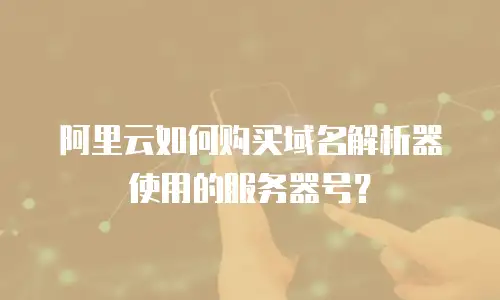 阿里云如何购买域名解析器使用的服务器号？