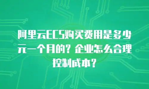 阿里云ECS购买费用是多少元一个月的？企业怎么合理控制成本？