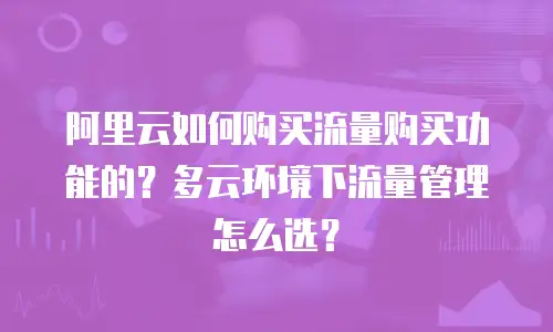 阿里云如何购买流量购买功能的？多云环境下流量管理怎么选？