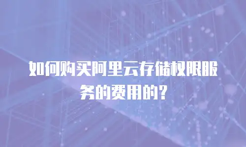 如何购买阿里云存储权限服务的费用的？
