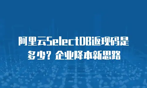 阿里云SelectDB返现码是多少？企业降本新思路