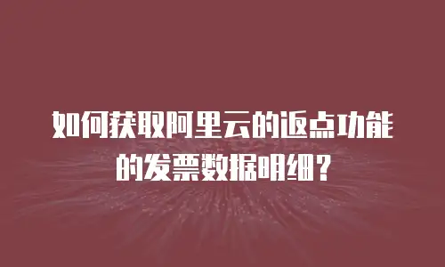 如何获取阿里云的返点功能的发票数据明细？