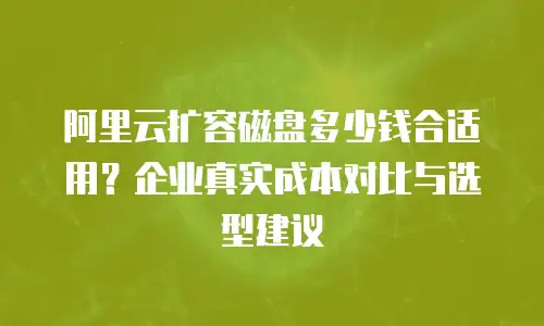 阿里云扩容磁盘多少钱合适用？企业真实成本对比与选型建议