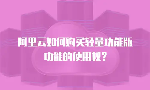 阿里云如何购买轻量功能版功能的使用权？