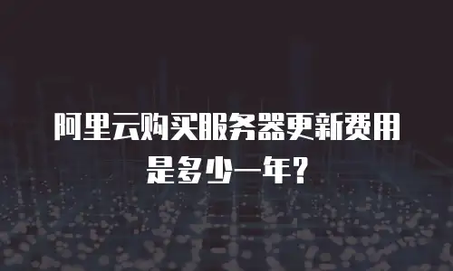 阿里云购买服务器更新费用是多少一年？