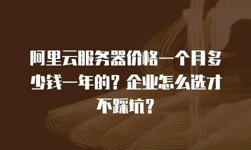 阿里云服务器价格一个月多少钱一年的？企业怎么选才不踩坑？