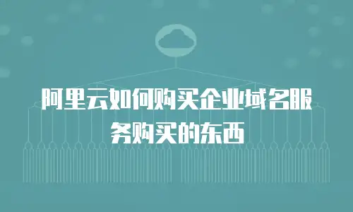 阿里云如何购买企业域名服务购买的东西