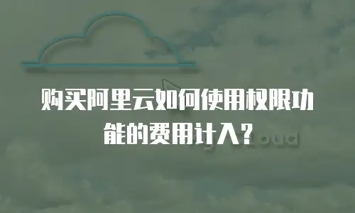 购买阿里云如何使用权限功能的费用计入？