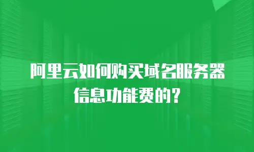 阿里云如何购买域名服务器信息功能费的？