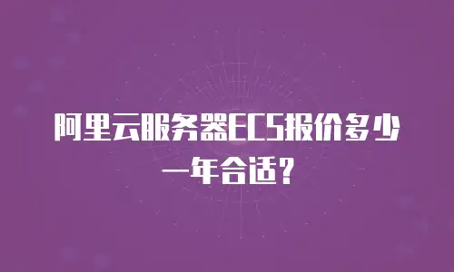 阿里云服务器ECS报价多少一年合适？