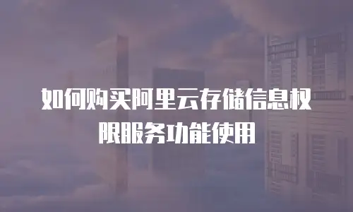 如何购买阿里云存储信息权限服务功能使用