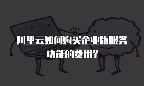 阿里云如何购买企业版服务功能的费用？