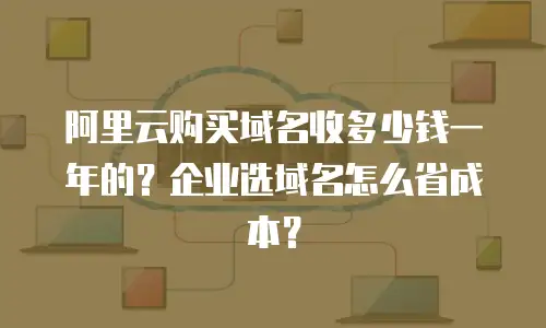 阿里云购买域名收多少钱一年的？企业选域名怎么省成本？