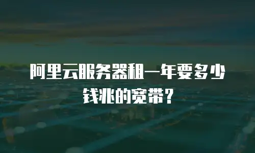 阿里云服务器租一年要多少钱兆的宽带？