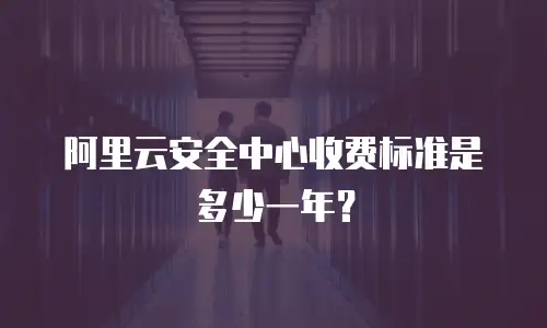 阿里云安全中心收费标准是多少一年？