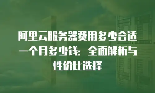 阿里云服务器费用多少合适一个月多少钱：全面解析与性价比选择
