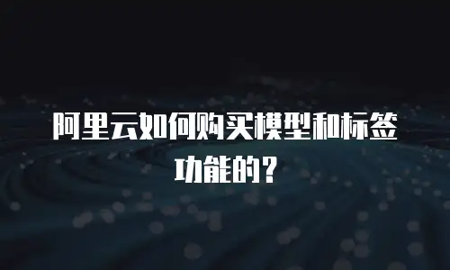 阿里云如何购买模型和标签功能的？