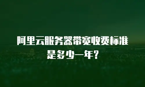 阿里云服务器带宽收费标准是多少一年？